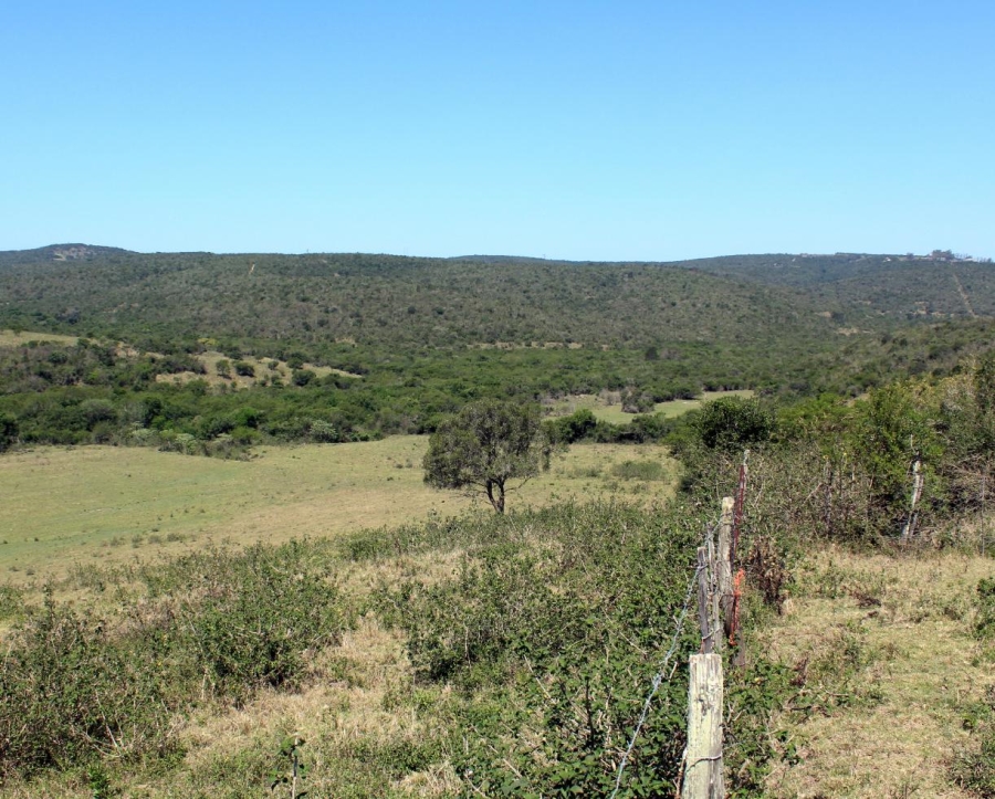Commercial Property for Sale in Komga Rural Eastern Cape